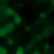 :icondreadarkive: