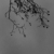 :iconDreadfulSymmetry: