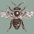 :icondreadnoughtdesigns: