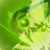 :icondreagu:
