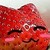 :icondreahguurl: