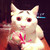 :icondream-fire:
