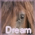 :icondream-horse: