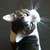 :icondream-of-the-stars: