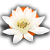 :icondreamartsinfographie: