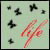:icondreamatlantic: