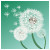 :icondreamaway--x: