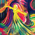 :icondreambranch: