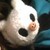 :icondreamdemonsister: