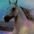 dreamdrafts11 :icondreamdrafts11: