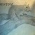 :icondreamergirl023: