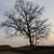 :icondreamersfactory: