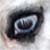 :icondreamerssacrifice: