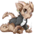 :icondreamheartwolf:
