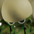 :icondreamhighstudio: