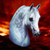 :icondreamhorse81: