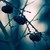 Dreamingandwishing :icondreamingandwishing: