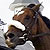 :icondreamingappaloosa: