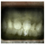 :icondreamingdead: