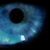 :icondreamingwolf: