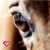 :icondreamlalaland: