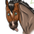 :icondreamofastarrynight:
