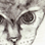 :icondreampiper: