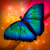 :icondreams-catcher: