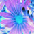 :icondreams-in-digital107: