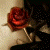 :icondreamscape1author: