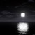 :icondreamshavelegs: