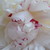 :icondreamslongforgotten: