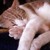 :icondreamswhisper:
