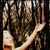 :icondreamthisphotography: