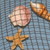 :icondreamweaver013: