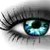 :icondreamweaver729: