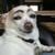:icondreamy4keamy: