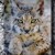 :icondreamyheadlynx: