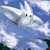 :icondreamyhearts80: