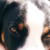 :icondreasart: