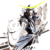 :icondreci: