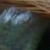 :icondreempup: