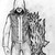 :icondregury: