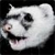 :icondrekko-studio: