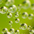 :icondres2x: