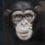 :icondresden-monkey: