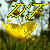 :icondressagefandango: