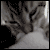 :icondrew-darkness: