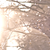 :icondrewberrey: