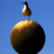 :icondrewmar: